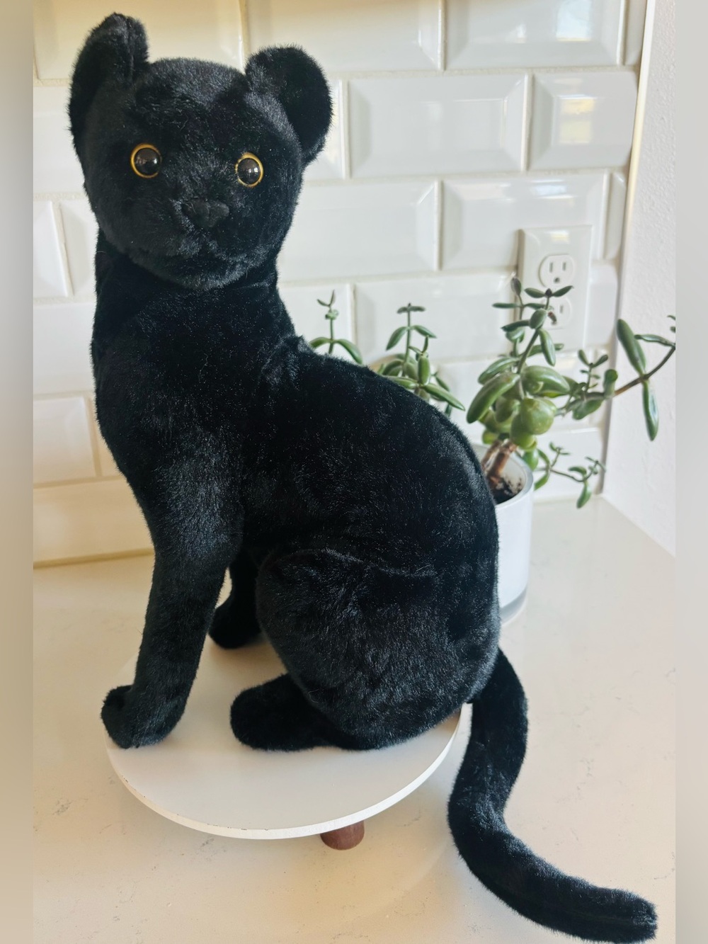 Faux Black Cat 🐈⬛